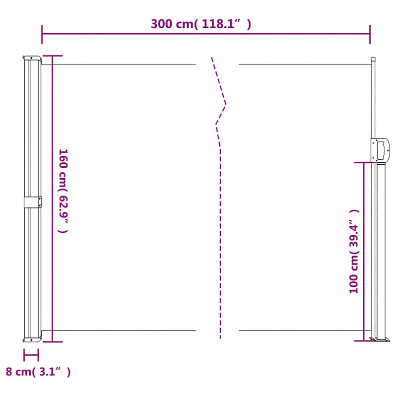 Retractable Side Awning Black 160x300 cm