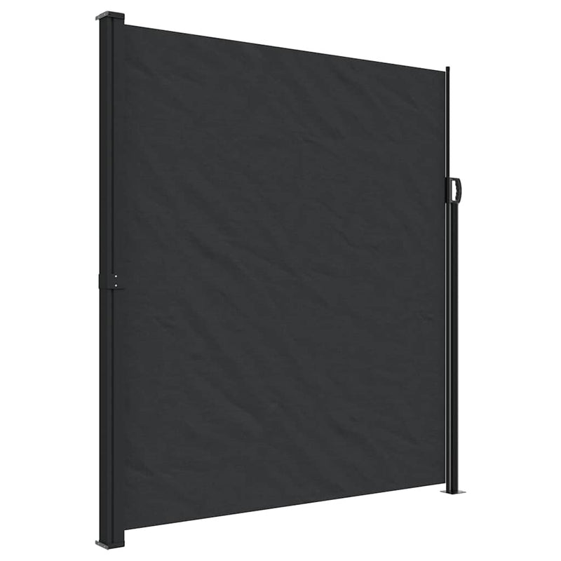 Retractable Side Awning Black 220x300 cm