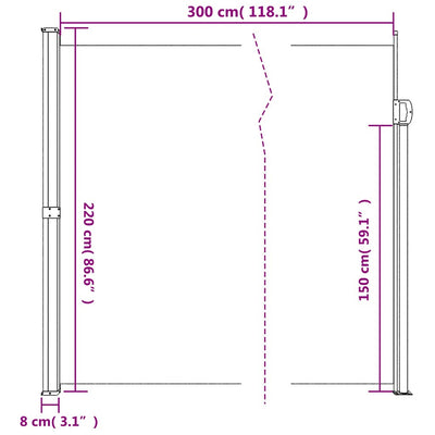 Retractable Side Awning Black 220x300 cm