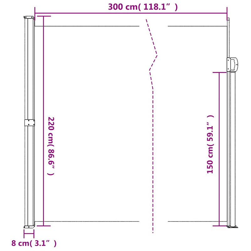 Retractable Side Awning Black 220x300 cm