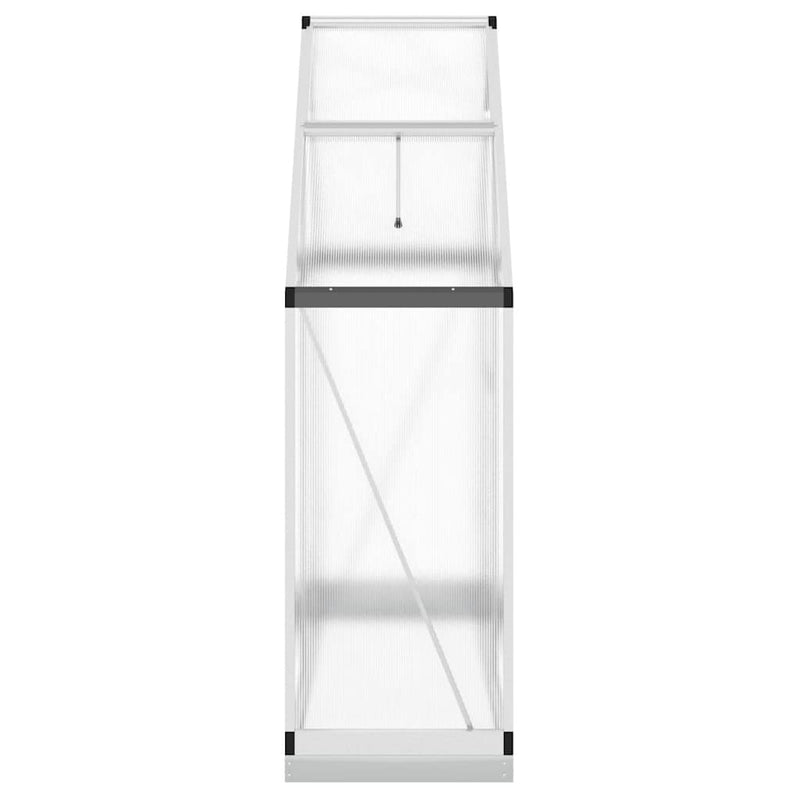 Greenhouse with Base Frame Silver 169x58x202 cm Aluminium