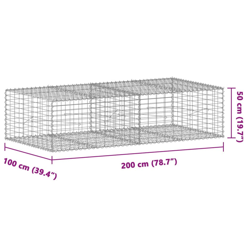 Gabion Basket with Cover 200x100x50 cm Galvanised Iron