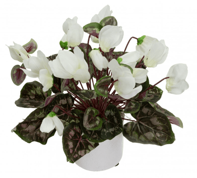 34cm Potted Faux Cyclamen Plant in Pot Artificial Flower Plant Decor - Cream