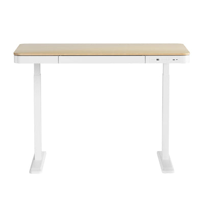 Artiss Standing Desk Motorised Electric Dual Motor Draw 120CM Oak