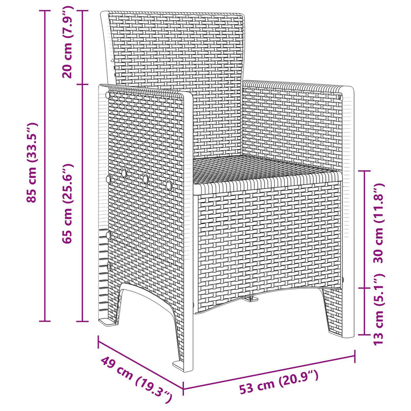 Garden Chairs with Cushions 2 pcs Brown Poly Rattan