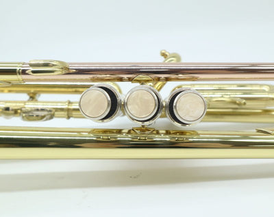 Bb Trumpet Phosphorus Copper Student Intermediate