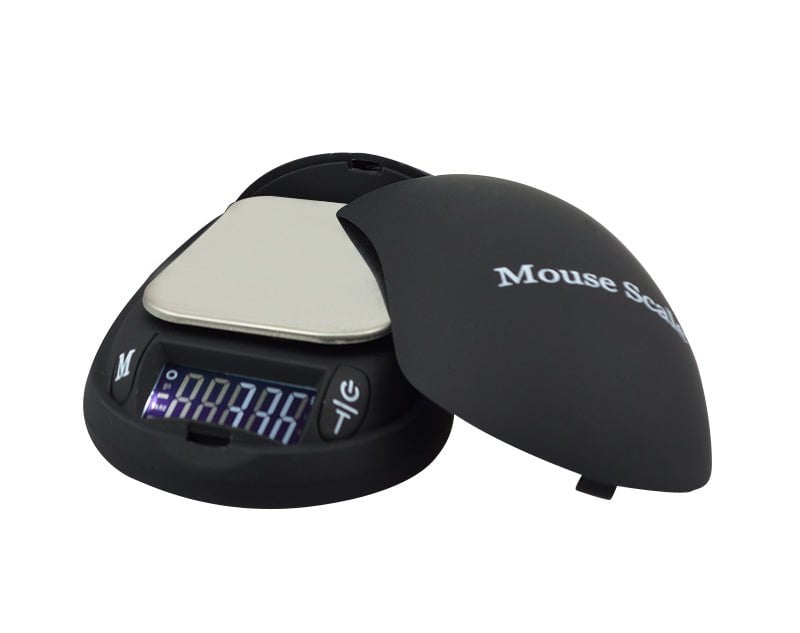 Mouse Scale 100g SCPM100