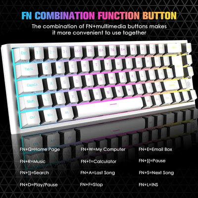 67 Keys Layout Design Mechanical Gaming Keyboard PC PS4 RGB Backlight Wired USB White