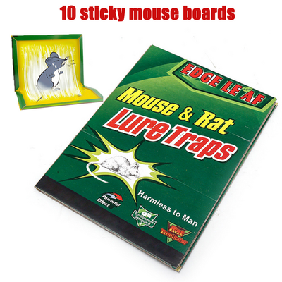 10pcs Mouse Traps Rat Mice Mouse Insect Trap Board Snare Catcher Board Pad