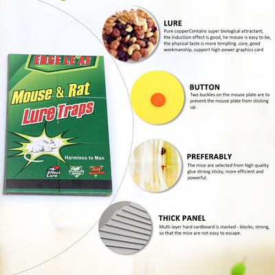 10pcs Mouse Traps Rat Mice Mouse Insect Trap Board Snare Catcher Board Pad