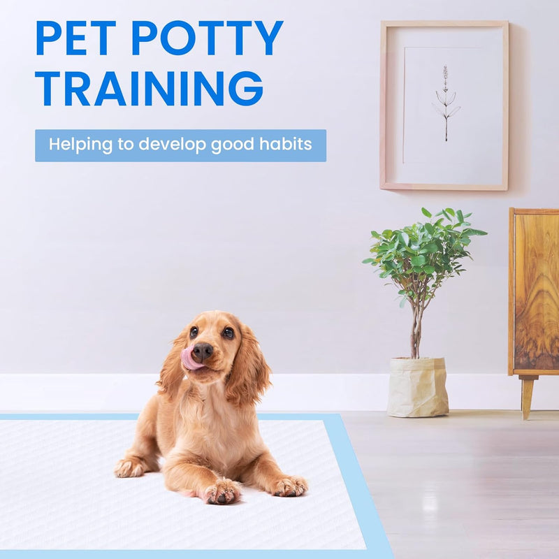 50pcs Pet Training Pads Puppy Toilet Dog Pee Indoor 60x90cm Super Absorbent