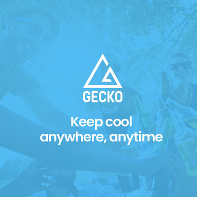 GECKO 142L Upright Portable Fridge / Freezer, 12V/24V/240V for Motorhome and Caravan, Silver