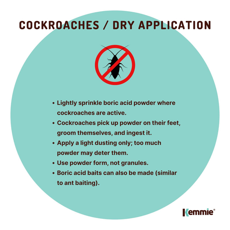 100g Boric Acid Powder High Purity Fully Soluble Granule Pest Ant Cockroaches