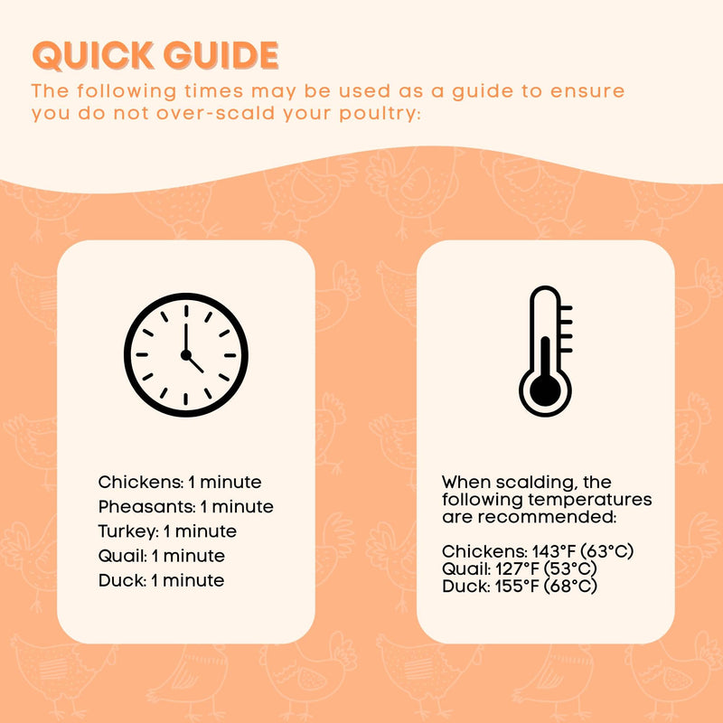 70L Electric Chicken Scalder Machine - Stainless Steel Poultry Turkey Scalding