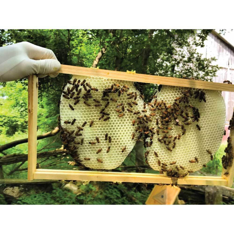 1Kg Orku Australian Beeswax Chunks - Pure Natural Unrefined Raw