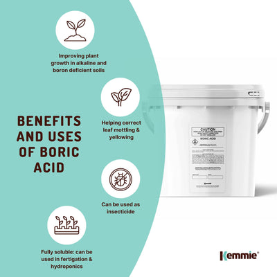 1Kg Boric Acid Powder Bucket 99.9% Pure Fully Soluble Granule Pest Ant Roaches