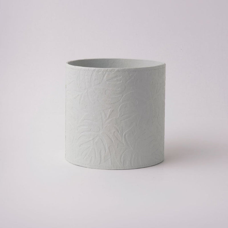 Tree Stripes Cylinder Pot Monstera - Morning Mist (Small)