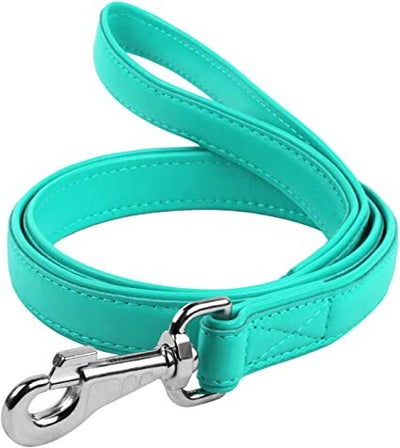 Waudog Leather Flat Clip Leash W25MM - L122CM MINT