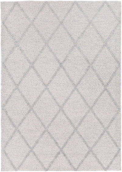 Leilani Diamond Braided Grey Rug 160x230cm