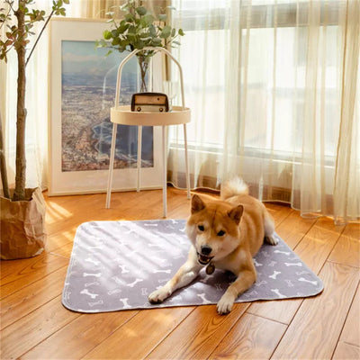 Pawfriends Washable Pet Dog Pee Pad Reusable Cat Puppy Training Wee Absorbent Mat Bed 40x60