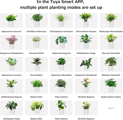 Intelligent Flower Pot, Electronic Bud, Maintenance Plant Assistant, Fun Interactive Flower Pot, Indoor Green Planting Monitoring, LCD Screen Display, Cell Phone APP Connection (Pink)