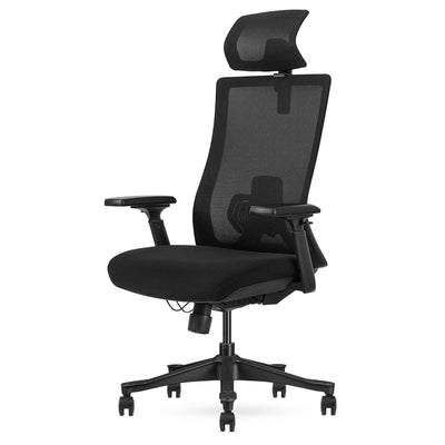 Lifespan Fitness DM9 Ergonomic Mesh High Back Office Chair