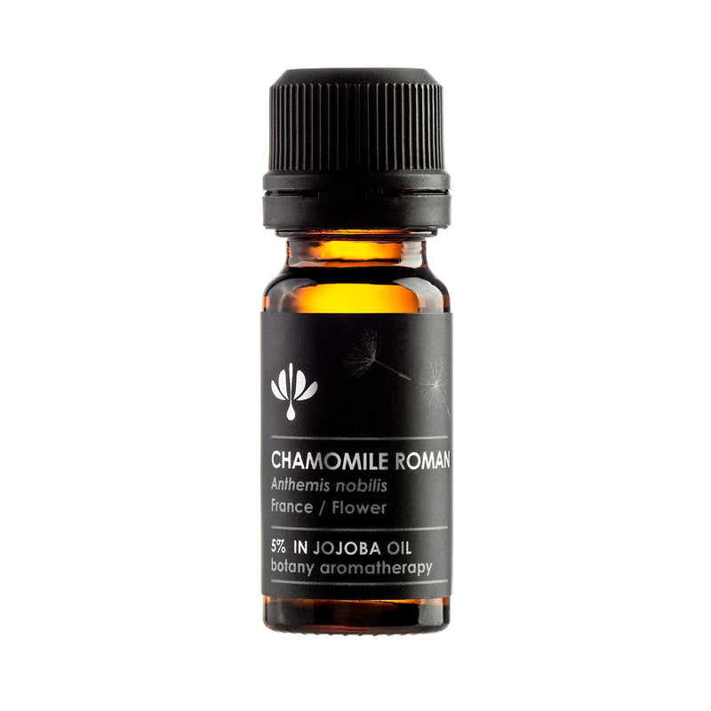 CHAMOMILE ROMAN 5% in Jojoba oil (Anthemis nobilis) - 12ml