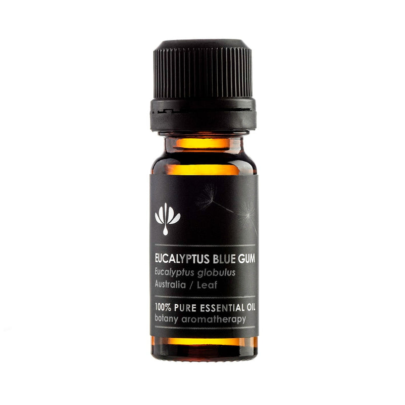 EUCALYPTUS BLUE GUM (Eucalyptus globulus) - 12ml