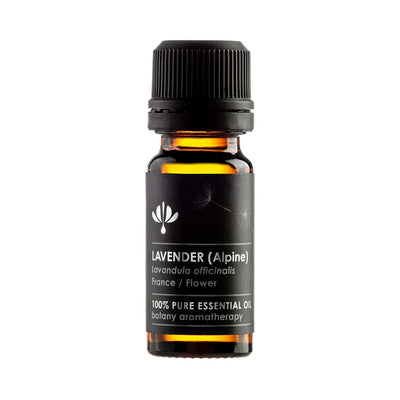 LAVENDER FRENCH - Alpine (Lavandula officinalis) - 12ml