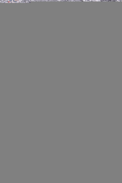 hollow-medalion-transitional-grey-rug 160x230