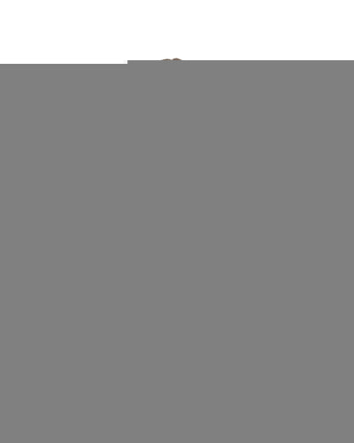 Azura Exchange Leopard Floral Mixed Print Ruffle Sleeve Blouse - L