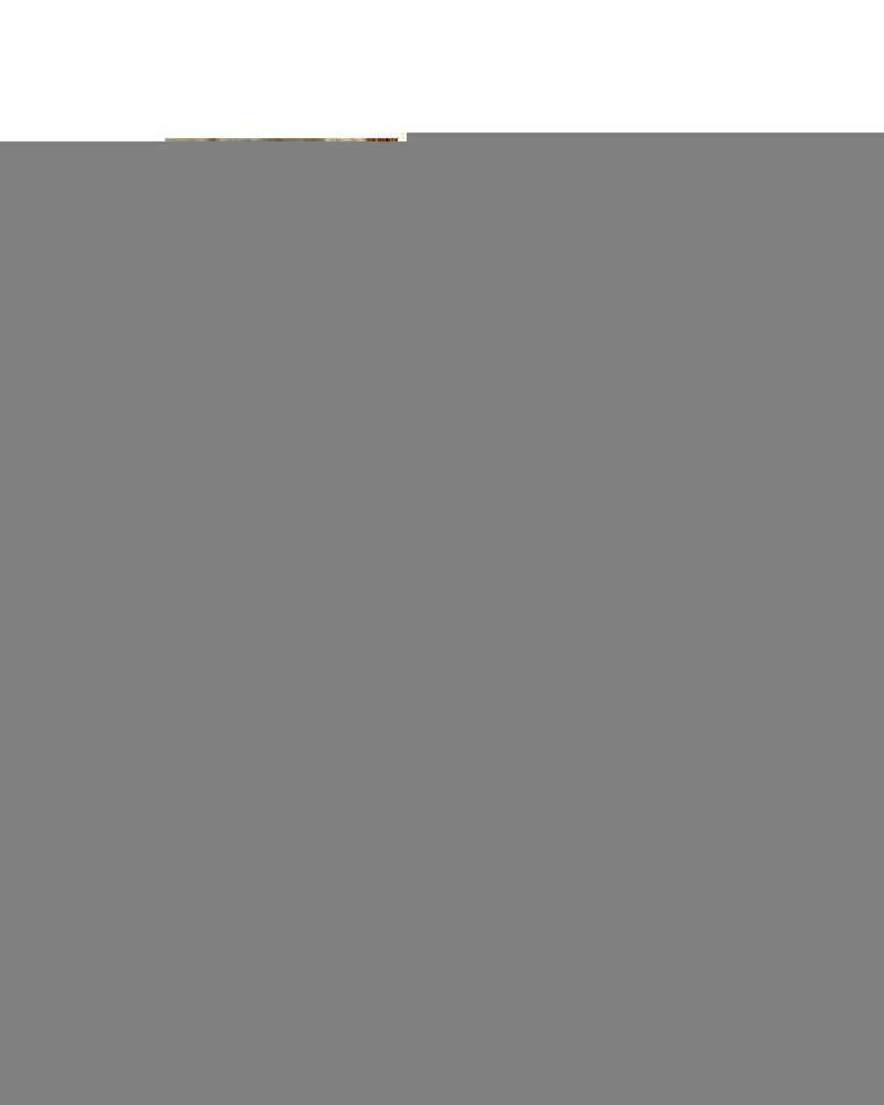 Azura Exchange Textured Round Neck Long Sleeve Top - L