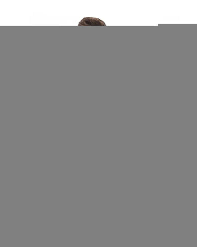 Bagutta Men's Gray Cotton Shirt - 2XL