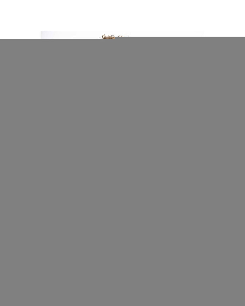 Baldinini Trend Men&