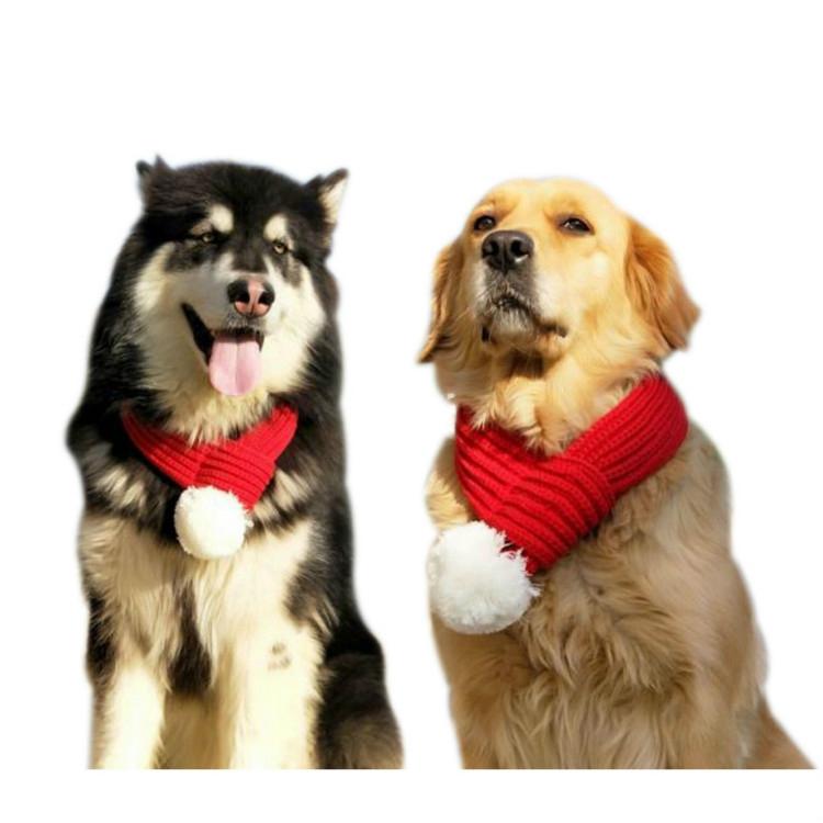 Pet Christmas Wool Scarf - Size Xxs