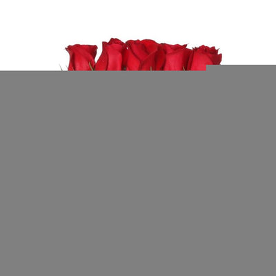 Minimalist Hydroponic Glass Vase with Wooden Frame for Coffee Shop Decor