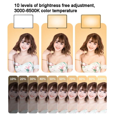 30cm Flat-panel Live Fill Light with 3-colour Temperature - Adjustable Bracket