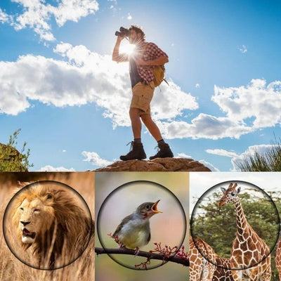 High Definition Monocular Telescope For Outdoor Bird Viewing - 16X52 Green Film - 16X52 With Clip+Tripod