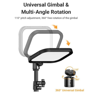 Live Portrait Soft Light Dual Bracket with Four-colour Fill