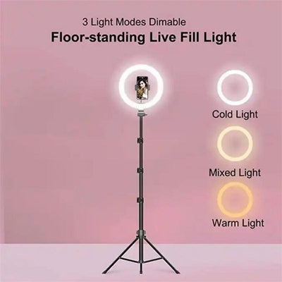 10 Inch Ring Light Set for Live Streaming and Beauty Stand