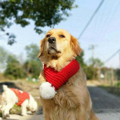 Pet Christmas Wool Scarf Medium & Large Dog Saliva Towel - Size Xl