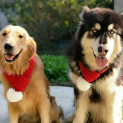 Pet Christmas Wool Scarf Medium & Large Dog Saliva Towel - Size Xl