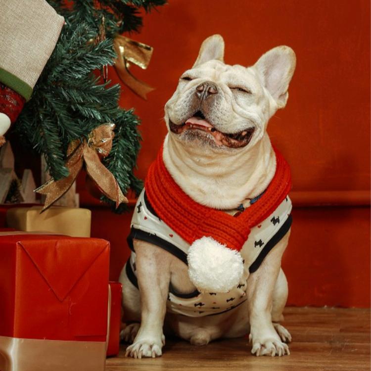Pet Christmas Wool Scarf Medium & Large Dog Saliva Towel - Size Xl