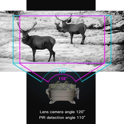 Outdoor Camouflage Dual Lens Infrared Camera with 4k Resolution and Night Vision