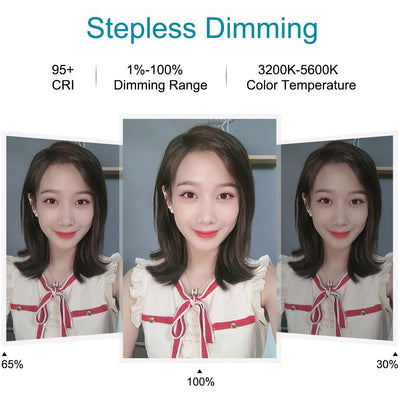 10.2 Led Ring Light with Tripod & Dual Phone Brackets - Usb Dimmable Dual Colour Temperature Selfie Remote - Black