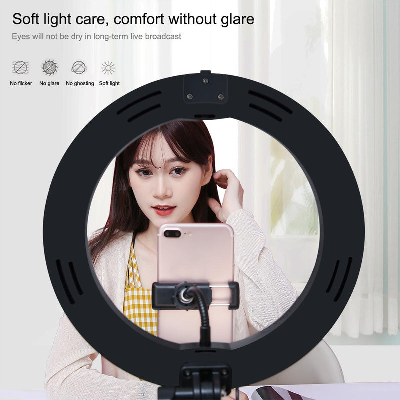 10.2 Dual-colour Led Ring Light with Usb Bluetooth Remote and Phone Holder - White