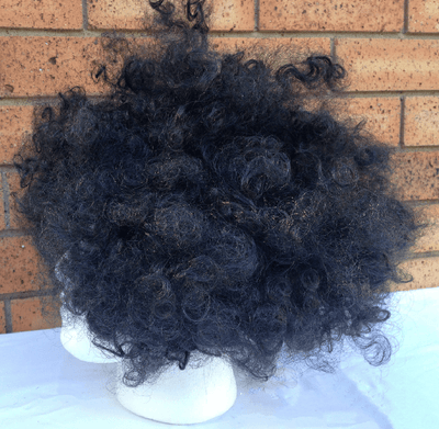 DELUXE AFRO WIG Curly Hair Costume Party Fancy Disco Circus 70s 80s Dress Up - Black