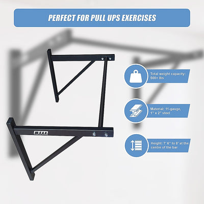 Wall Mounted Pull Up Bar