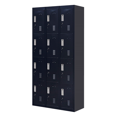 12-Door Locker for Office Gym Shed School Home Storage - Standard Lock with Keys