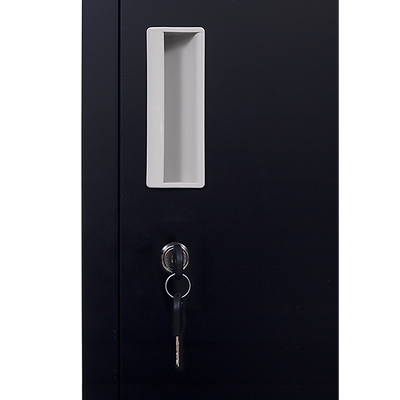 12-Door Locker for Office Gym Shed School Home Storage - Standard Lock with Keys